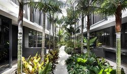 Alana (D28), Terrace #498132471